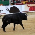 Corrida de toros goyesca