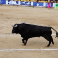 Corrida de toros goyesca