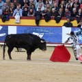 Corrida de toros goyesca