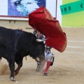 Corrida de toros goyesca