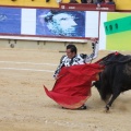 Corrida de toros goyesca