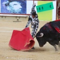 Corrida de toros goyesca