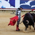 Corrida de toros goyesca