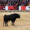 Corrida de toros goyesca