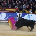 Corrida de toros goyesca