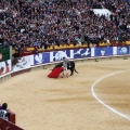 Corrida de toros goyesca