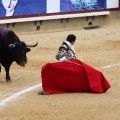 Corrida de toros goyesca