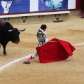 Corrida de toros goyesca