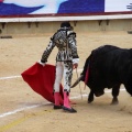 Corrida de toros goyesca