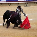 Corrida de toros goyesca