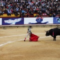 Corrida de toros goyesca