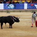 Corrida de toros goyesca