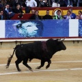 Corrida de toros goyesca