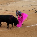 Corrida de toros goyesca