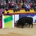 Corrida de toros goyesca