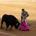 Corrida de toros goyesca