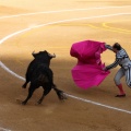 Corrida de toros goyesca