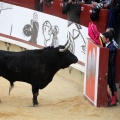 Corrida de toros goyesca