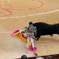 Corrida de toros goyesca