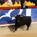 Corrida de toros goyesca