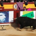 Corrida de toros goyesca