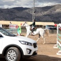 Salto de Obstáculos Magdalena 2015