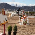 Salto de Obstáculos Magdalena 2015