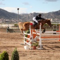 Salto de Obstáculos Magdalena 2015