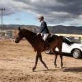 Salto de Obstáculos Magdalena 2015