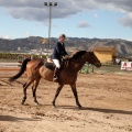 Salto de Obstáculos Magdalena 2015