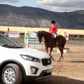 Salto de Obstáculos Magdalena 2015