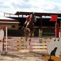 Salto de Obstáculos Magdalena 2015