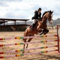 Salto de Obstáculos Magdalena 2015