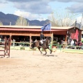 Salto de Obstáculos Magdalena 2015