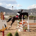 Salto de Obstáculos Magdalena 2015