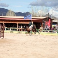 Salto de Obstáculos Magdalena 2015