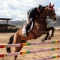 Salto de Obstáculos Magdalena 2015