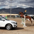 Salto de Obstáculos Magdalena 2015