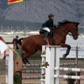 Salto de Obstáculos Magdalena 2015