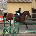 Salto de Obstáculos Magdalena 2015