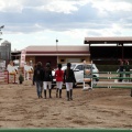 Salto de Obstáculos Magdalena 2015