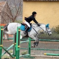 Salto de Obstáculos Magdalena 2015