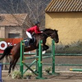 Salto de Obstáculos Magdalena 2015