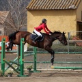 Salto de Obstáculos Magdalena 2015