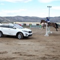 Salto de Obstáculos Magdalena 2015