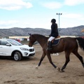 Salto de Obstáculos Magdalena 2015