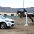 Salto de Obstáculos Magdalena 2015