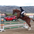 Salto de Obstáculos Magdalena 2015