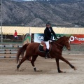 Salto de Obstáculos Magdalena 2015