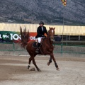 Salto de Obstáculos Magdalena 2015